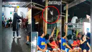Mago lleva una paloma para su show, esta escapa al techo y termina en las garras de un gato callejero