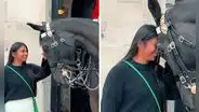 Captan conexión instantánea de mujer con caballo de la Guardia Real y dicen: “Se parece a Pocahontas”