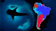 El pez más grande del mundo, lo encuentras en un país de Sudamérica y mide más de 12 metros de largo