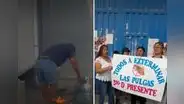 SJL: alumnos serán reubicados tras infestación de pulgas en colegio