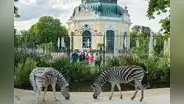 El zoológico más antiguo del mundo tiene una sección dedicada a Sudamérica: es patrimonio de la Unesco