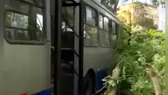 Cercado de Lima: una mujer herida tras choque de Corredor azul de ATU contra un árbol