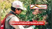 Conoce las oportunidades laborales en Sernanp 2024: entidad ofrece trabajo con sueldos de hasta S/8.000