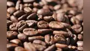 Picos históricos del cacao y café globales impulsaron 16% las exportaciones amazónicas del Perú