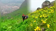 Top 5 de las lomas de Lima más atractivas para hacer trekking en este invierno 2024