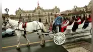 López Aliaga y los carruajes a caballo: estas serían las rutas y horarios de recorrido en el centro histórico
