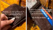 Hombre pierde billetera, saca duplicado de sus documentos y su perro se la devuelve luego de 6 meses