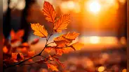 Temporada de otoño 2024: ¿Cuándo es el primer día del otoño de 2024 en Estados Unidos?
