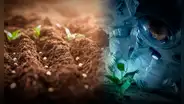 La innovadora forma con la que buscan cultivar vegetales en Marte con ayuda de los mayas