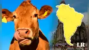 El ÚNICO país de Sudamérica que tiene más vacas que habitantes: aproximadamente 4 por persona