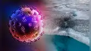 Virus gigantes en Groenlandia podrían frenar el deshielo del Ártico, según reciente estudio científico