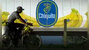 ¿Qué es Chiquita Brands, la empresa internacional que financió a un grupo paramilitar en Colombia?