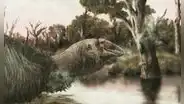 El ganso preshistórico gigante que vivió en Australia hace 45.000 años: el cambio climático lo desapareció