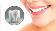 Científicos japoneses descubren fármaco que podría regenerar dientes humanos, sería primero en el mundo