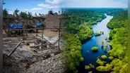 Amazonía peruana es consumida por la sed de explotación de oro en el mundo: "Este terreno está muerto"