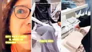 Costurera peruana analiza calidad de ropa de Zara y sorprende con comentario: "Esta tela vale S/7 en Gamarra"