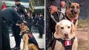 Perritos se ‘jubilaron’ tras servir varios años a la PNP y usuarios piden: “Pensión y seguro veterinario”