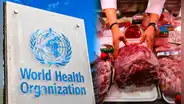 La lista de alimentos que podrían causar cáncer, según la OMS: recomienda regular su consumo