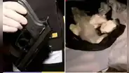 Policía resulta herido después de un enfrentamiento con la banda 'Los Gatilleros de La Victoria'