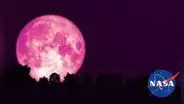 Luna de Fresa en Colombia 2024: a qué hora y dónde ver EN VIVO el fenómeno astronómico