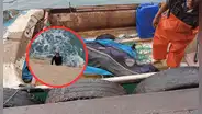 Pescador de 60 años sobrevive tras nadar 300 metros luego de naufragio: su hijo murió