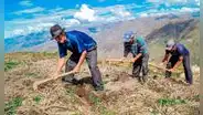 Revisa lo último que se muestra sobre si es feriado el 24 de junio por el Día del Campesino