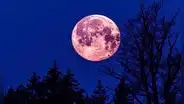 ¿Por qué la luna de fresa recibe ese nombre?: así podrás ver este fascinante evento astronómico