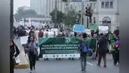 Movilización: ciudadanía salió a protestar contra la destrucción de la democracia