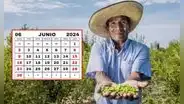 ¿Hoy es feriado en Perú? Lo que indica el diario El Peruano sobre el 24 de junio