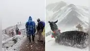 Turistas sorprendidos al encontrar la Montaña de 7 Colores con nieve: “Literal, mis ahorros”