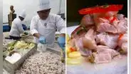 Día del ceviche 2024 en Perú: ¿cuándo es y por qué se celebra en junio?