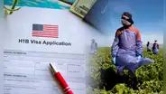 ¡Atención con las visas de trabajo! USCIS señala ajustes para solicitarlas en Estados Unidos