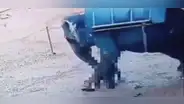 Un hombre de 62 años muere aplastado por elefante en un zoológico en la India
