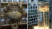 Conoce el museo más raro del Perú: está dentro de un hospital y la entrada solo cuesta S/5