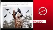 Imagen no evidencia a aves ensuciando la estatua del exalcalde Luis Castañeda