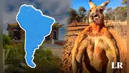 El país de Sudamérica que perdería una 'guerra' contra los canguros de Australia: cada ciudadano pelearía contra 14