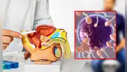 Eyacular al menos 21 veces al mes reduce el riesgo de padecer cáncer de próstata, según estudio de Harvard
