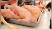 Por gripe aviar declaran cuarentena de 30 días en región: Senasa dispuso medida en puntos de venta de pollo