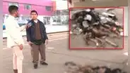 San Juan de Lurigancho: encuentran costales con colas de perros en los exteriores de la Línea 1 del Metro