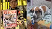 Desde hace 1 año, adulto mayor recorre todas las noches el distrito de ATE buscando a su perrita: conoce su historia