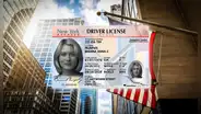 Las únicas ciudades de Estados Unidos donde los indocumentados pueden tramitar la licencia de conducir