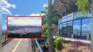 MTC reinicia vuelos Lima-Jaén: conoce todo sobre los viajes para julio en Aeropuerto Fernando Belaúnde Terry