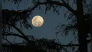 Calendario lunar de julio 2024: cuándo hay luna llena y las demás fases lunares