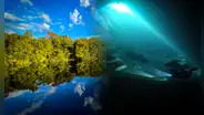 El manantial de agua dulce más grande del mundo está en América: alcanza una profundidad de 56 metros