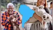 El país que tiene más mascotas en el mundo está en Sudamérica: supera a China y Estados Unidos