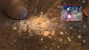 Lince: delincuentes detonan granada para evitar operativo de la Diroes
