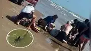 Tiburón ataca a cuatro bañistas y causa pánico en la Isla del Padre Sur: mujer quedó con la pantorrilla destrozada