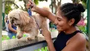 ¡Necesitan tu ayuda! Patatón 2024 busca recolectar 5 toneladas de alimentos para perros y gatos