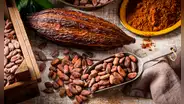 El país de América Latina donde se originó el cacao y como se esparció por el mundo, según estudio científico