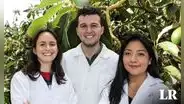 Estudiantes peruanos diseñan fórmula para mejorar cultivos de palta en Ica y destacan en competencia mundial